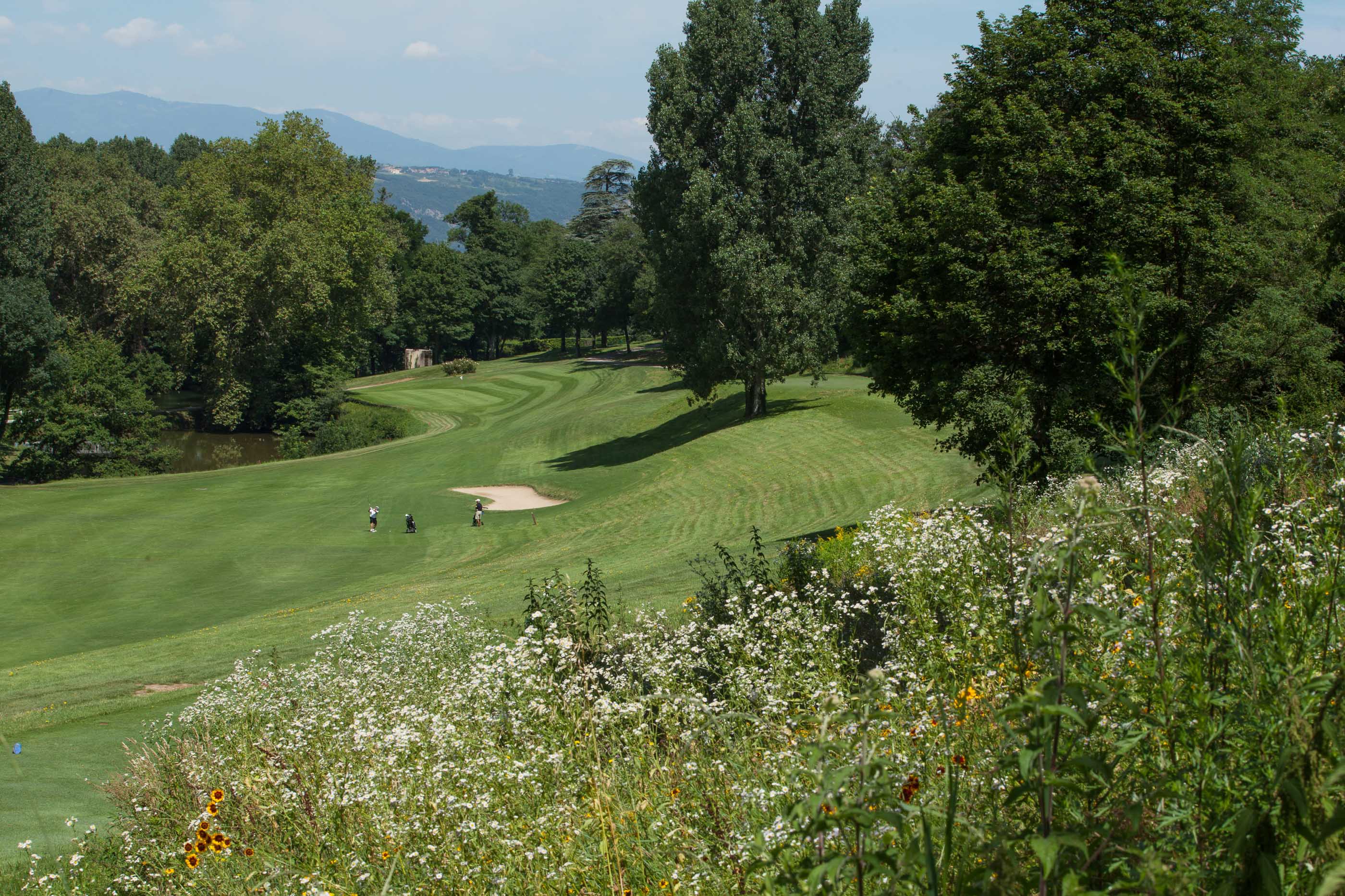 Terrain de Golf, Drome, Albon